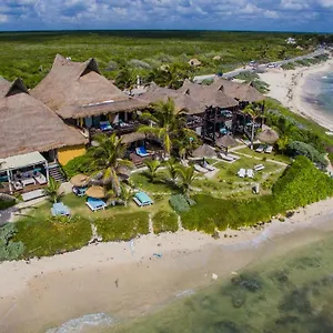 https://el-pez-hotel.allrivieramayahotels.com